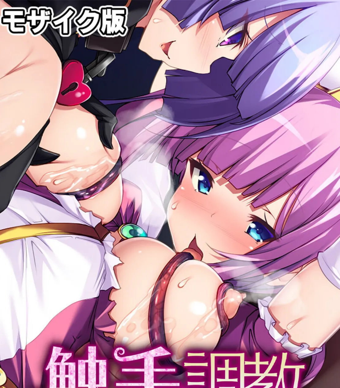 戦う純真ヒロイン敗北の末路 〜蠢く触手、異形の巨躯、悪の組織〜【CG集コレクション】 モザイク版 2ページ