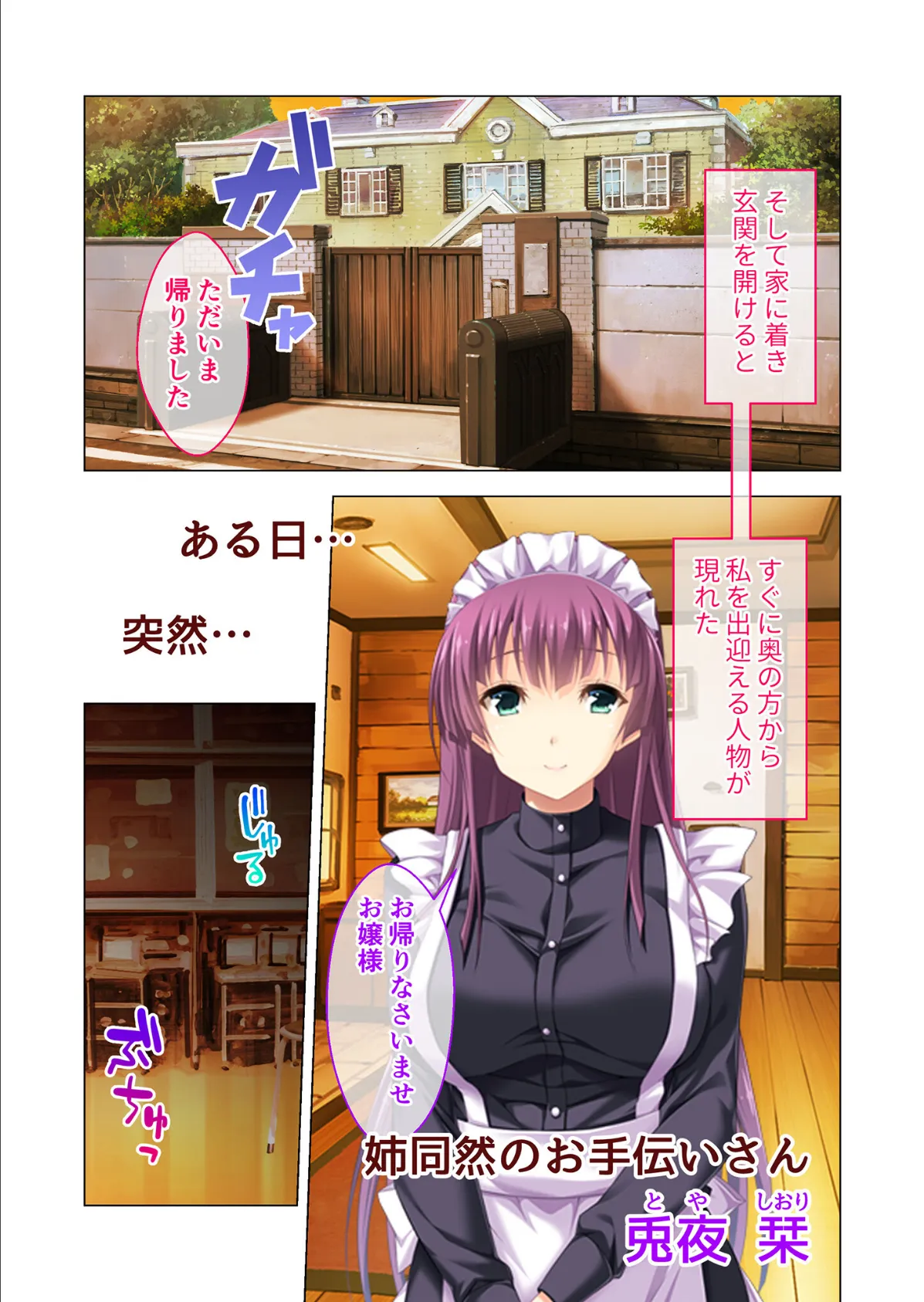 虜ノ鎖 〜処女たちを穢す淫らな楔〜 共通ルート+囚われ性処理編 モザイク版 5ページ