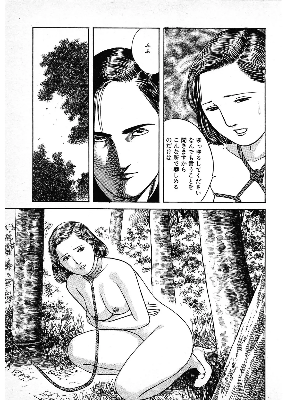 危ない悦楽<描き下ろし原画入り特別版>・鶴永いくお官能コレクション11 13ページ