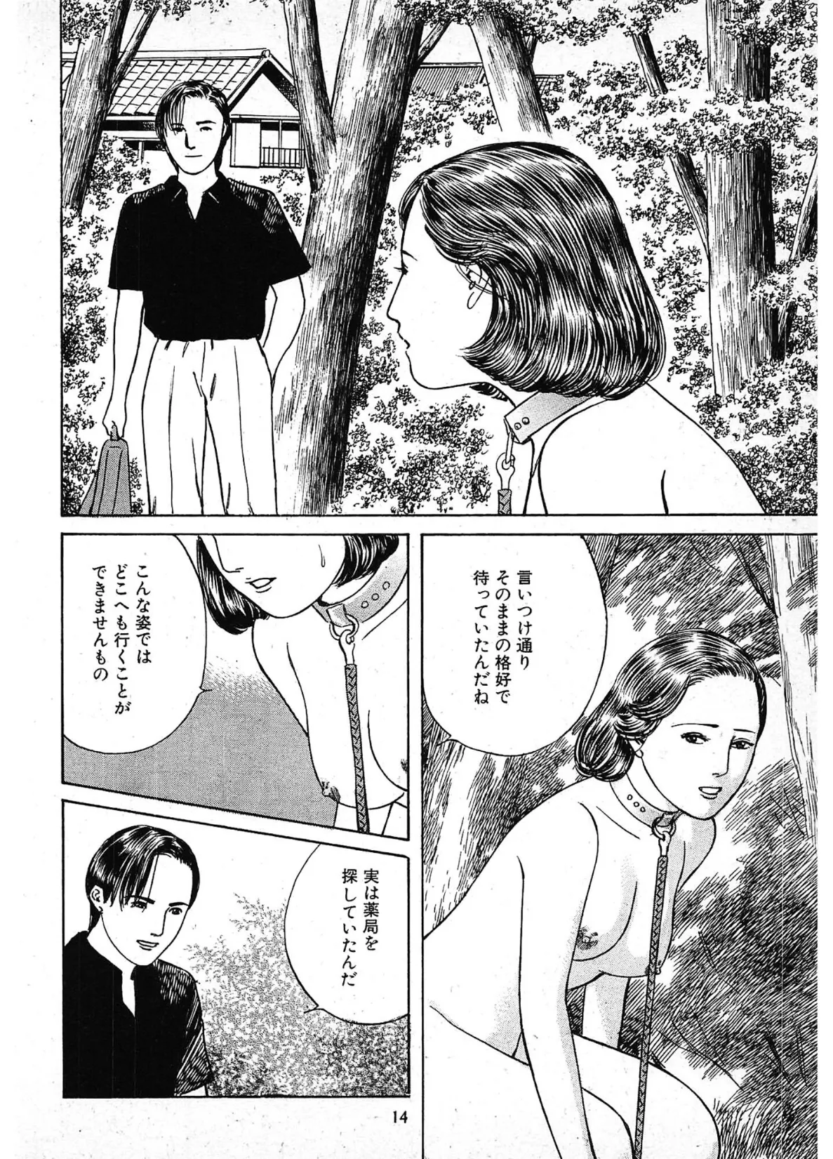 危ない悦楽<描き下ろし原画入り特別版>・鶴永いくお官能コレクション11 14ページ