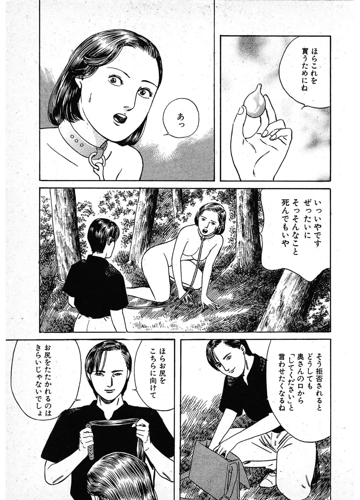 危ない悦楽<描き下ろし原画入り特別版>・鶴永いくお官能コレクション11 15ページ