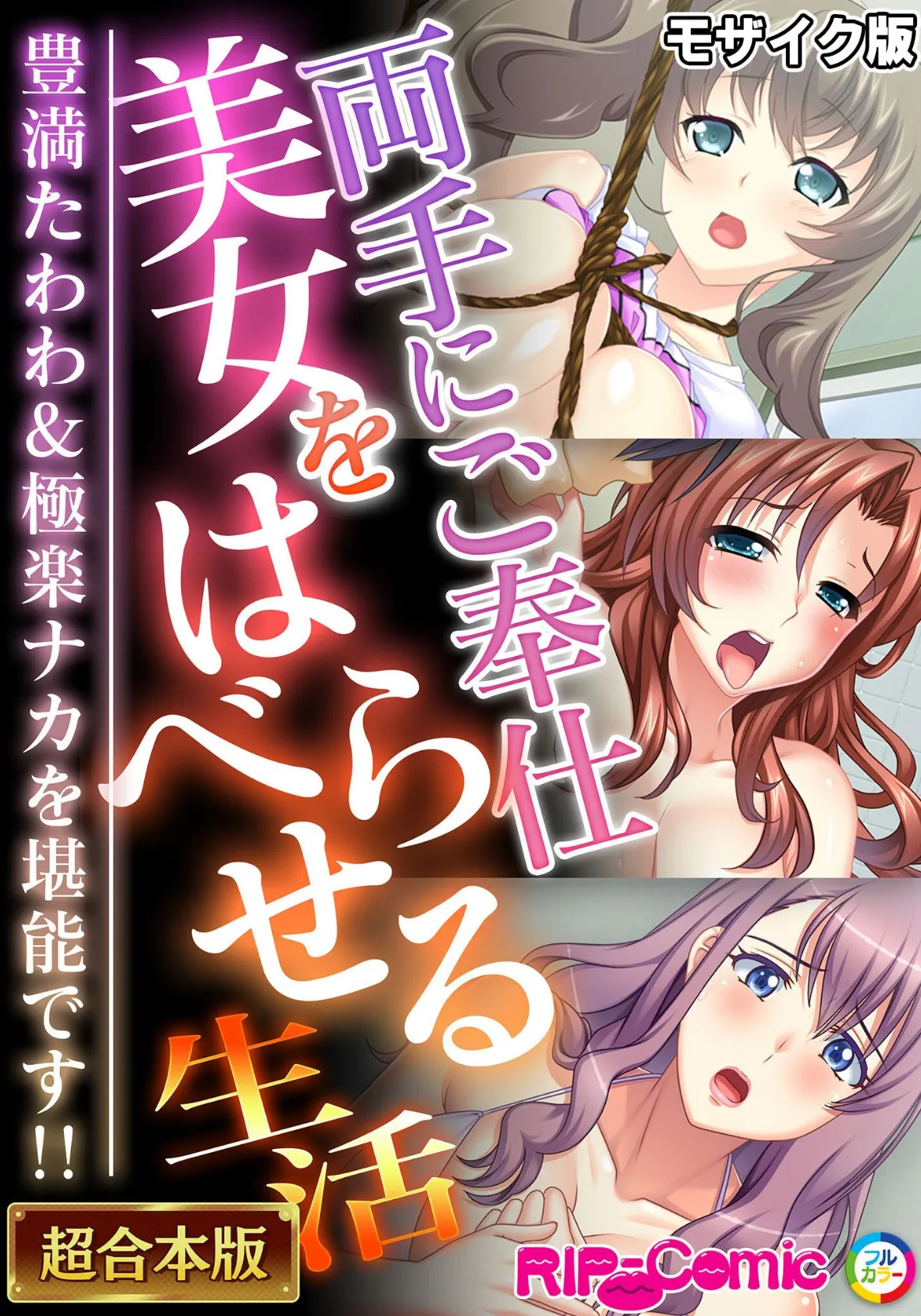 両手にご奉仕美女をはべらせる生活 〜豊満たわわ＆極楽ナカを堪能です！！〜【超合本シリーズ】 モザイク版